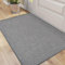 DEXI Door Matts Indoor 81 x 122 cm, Dirt Trapper Doormats Inside with Non Slip Rubber Backing, Low Profile Absorbent Entrance Mat for Muddy Shoes and Paws, Grey