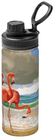 Vacuum Insulated Water Bottle - Stainless Steel Sports Water Bottle (18oz)