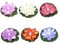 Warmhm 6st Lotus Schwimmende Wasserlampe Teich Dekoration Licht Lotus Buddhistisches Licht Blumen-pool-brunnen Elektrisches Flammenloses Licht Led-licht Lilie Flusslaterne Plastik