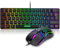 RedThunder Mechanische Gaming-Tastatur, 60 %, dynamische RGB-Hintergrundbeleuchtung, leichte Handy-Maus mit 7200 dpi, ultra-kompakte Tastatur mit 62 Anti-Ghosting-Tasten, QWERTY-Layout, für