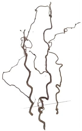 Natürlicher Haselnusszweig Deko 60-70 cm ( 3 stuk ) - Korkenzieherhasel Deko Zweige Natur