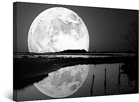 Startonight Leinwandbilder Schwarz und Weiß Reflexion des Mondes, Doppelansicht Überraschung Modernes Dekor Kunstwerk Gerahmte Wand Kunst Ursprüngliche Fertig zum Aufhängen Schlafzimmer 60 x 90 cm