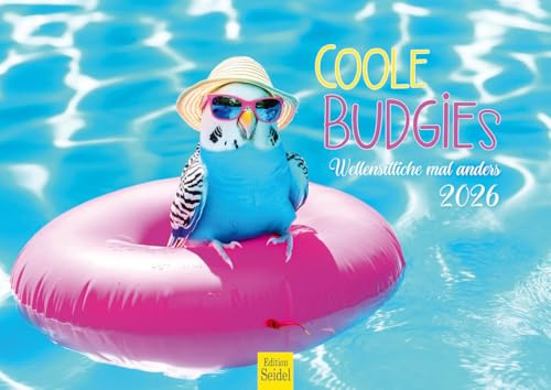 Edition Seidel Premium Kalender Coole Budgies 2026 Format DIN A4 Wandkalender Tierkalender mit lustigen Sprüchen Tiere Vögel Wellensittich Humor
