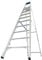 Krause 124562 Aluminium Stufen-Stehleiter Arbeitshöhe (max.): 4.35m Silber DIN EN 131 13kg