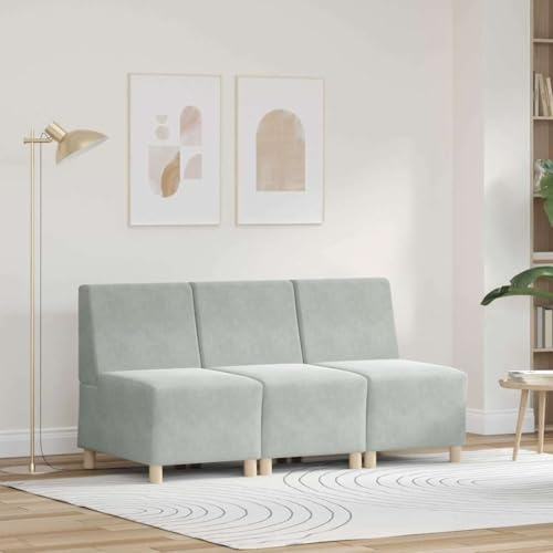Owoxanthellate Modulares Sofa ohne Armlehnen 3er Set Hellgrau 55cm Samt Sitzgruppe Modernes Design robust stabil für Wohnzimmer Schlafzimmer Büro
