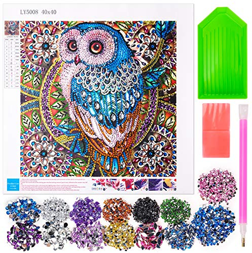 Diamond Painting Geschenke für 8 9 10 11 12 Jährige Mädchen Teenager, 5d Diamond Painting für Mädchen Frauen Ab 9 10 11 12 Diamant Bilder für Erwachsene Kinder Eulen Geschenke für 8-12 Jahre Mädchen