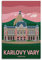 JOOEL Vintage-Reiseposter Karlovy Vary Poster, dekoratives Gemälde, Leinwand, Wandposter und Kunstbild, modernes Familien-Schlafzimmer, Dekor-Poster, 40 x 60 cm