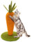 AUSCAT Kratzbaum Karotte, 42cm Süße Möhre Kratzsäule für Katzen, Kratzstamm aus Natursisal Indoor für Kätzchen