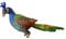UPKOCH Pfau Plüschtier Cartoon-pfau-Puppe Pfauendekorationen Pfauengeschenke Künstlicher Pfau Kinderspielzeug Vogelplüsch Pfau Geschenke Pfau Dekorationen Kurzplüsch Haushalt Der Vogel