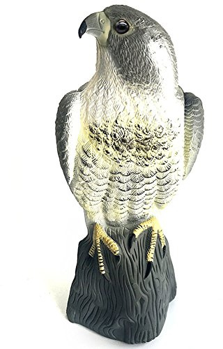 Yofit Bird Épouvantail Faux Cornes Hawk Leurre, Bird Répulsif protecteurs de Jardin, Naturel Ennemi Pest dissuasif Épouvantail