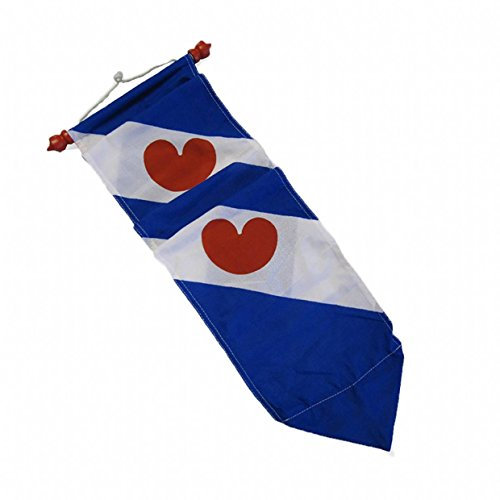 DVC Friese Wimpel 30x400 cm