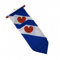 DVC Friese Wimpel 30x400 cm