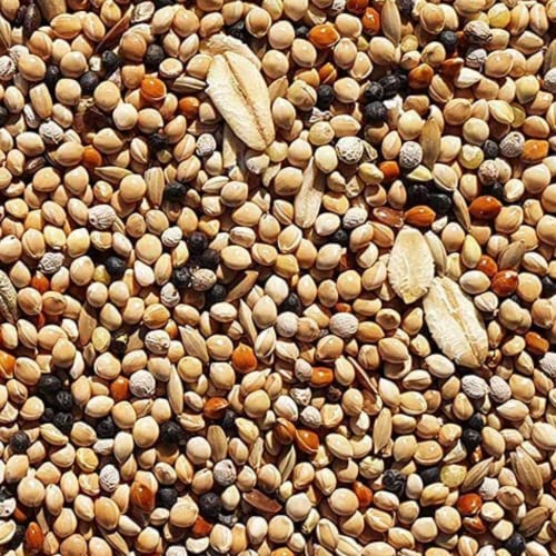 Supravit Wachtelfutter 2,5kg | Vollwertige Körnermischung für Wachteln und Hühner als Alleinfutter | Wachtel Futter mit Hirse Glanz Perillasaat Raps Haferflocken Hafer und Leinsamen