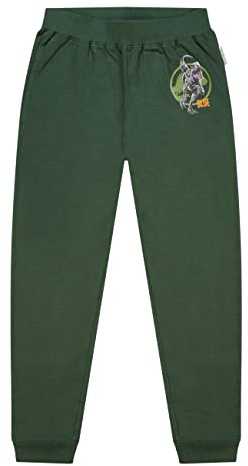 ONOMATO! Jurassic World Blue Jungen Jogginghose Kinder Trainingshose Dunkelgrün, Offizieller Lizenzartikel für Jungs, 100% Baumwolle Hose mit Dinosaurier Print, Größe 128