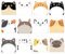 12 Styles Katzen-Notizen, Memo-Blöcke 360 Blatt, Selbstklebende Sticky Notes, Haftnotizen Schreibwaren, Niedliche Haftnotizen, Cartoon Tier Klebezettel, Haftnotizen mit niedlichen Tieren für Kühlschra