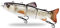Ods Lure Robotic Schwimmköder USB wiederaufladbar Fischköder mit LED Licht Elektrischer Angelköder mit 4 Gelenke (379)