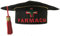 BrolloGroup Cappello Festa di Laurea Tocco Giurisprudenza Economia Archietettura Medicina Laureato Ingegneria Pensione Matematica Pileo PS 40633 (Farmacia)