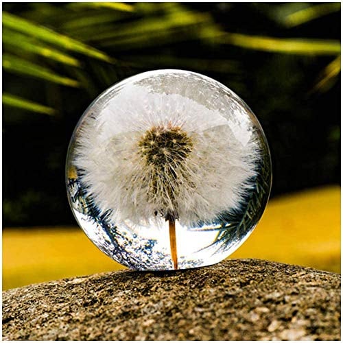 Briefbeschwerer pusteblume,Traumgeschenkkugel,Kristall Wunschkugel Traumball Einzigartiger Briefbeschwerer aus Löwenzahn Das perfekte Geschenk für Familie Liebhaber Kinder und Freunde (6CM)