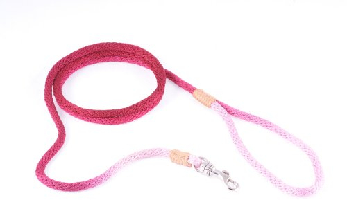 Alvalley Snap Hundeleine – Snap Style Nylon Leine für Hunde – einfach zu handhaben – perfekt für kleine, mittlere, große und extra große Hunde – geeignet für Training und Spaziergänge