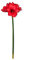 DARO DEKO Kunst-Pflanze Amaryllis XXL rote Premium Blüten 75cm mit Glitzer Kunstblume künstliche Blume