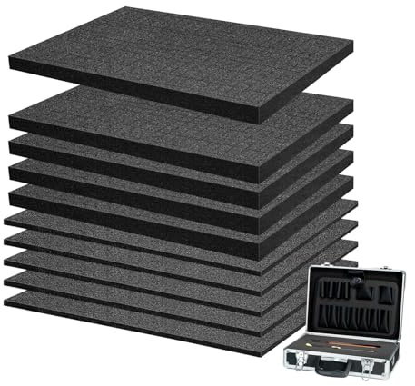 10 Stück Schaumstoffeinlage für Werkzeugkoffer, 400 x 300 mm Schaumstoffplatte Zuschnitt, PE-Polyethylenschaumstoff, Rasterschaumstoff-Alternative für Koffereinlage & Kamerakoffer, Höhe 25mm & 10mm