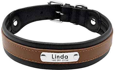 Pet Artist Hundehalsband aus Leder, mit Namensschild, personalisierbar, für große Hunde, Größe M/L/XL in Schwarz, Blau, Braun, Hot Pink, Rot und Lila