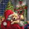20 Servietten Weihnachten Mit kleinem Hund Weihnachtsmann 33 X 33 cm