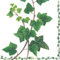 20 Servietten Efeublätter aus der Natur | Pflanzen | Tischdeko 33x33cm