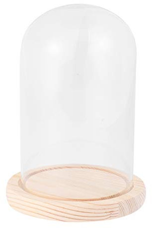 Gatuida Käseglocke Kuppel Schaukasten Stand Dekorative Gläser Plattenabdeckung Lichterkette Glocke Kuppel Unsterbliche Erhaltung Tischvitrine Kuppel Bambus Glas Lebensmittelabdeckung