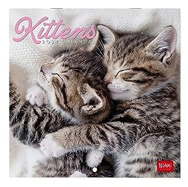 Legami - Wandkalender 2024, 12 Monate und Jahresplaner, Platz für Notizen und Notizen, Wochennummer, Sternzeichen und internationale Feiertage, Einzelzellophanatur, 18 x 18 cm