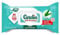 Carolin Lingettes Maxi Anti-Bacterien - 80 Lingettes à l'Huile Essentielle d'Eucalyptus Sans Javel pour un Nettoyage Efficace et Polyvalent - Format Économique de 80000g - Le Lot De 3