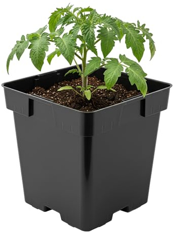Garronda Pflanztopf Kunststoff 16 x 16 x 16 cm (3L) eckig mit Drainagelöchern Blumentopf robust Pflanzentopf für Garten Gewächshaus Balkon Anzucht Innen Außenbereich Schwarz GD-0199