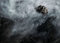 Displate Elder Scrolls Metallposter Elder Scrolls Skyrim Poster Elder Scrolls Bild Skyrim Leinwand Skyrim Poster The Elder Scrolls - Skyrim Key Art - Shout Poster 32x45cm