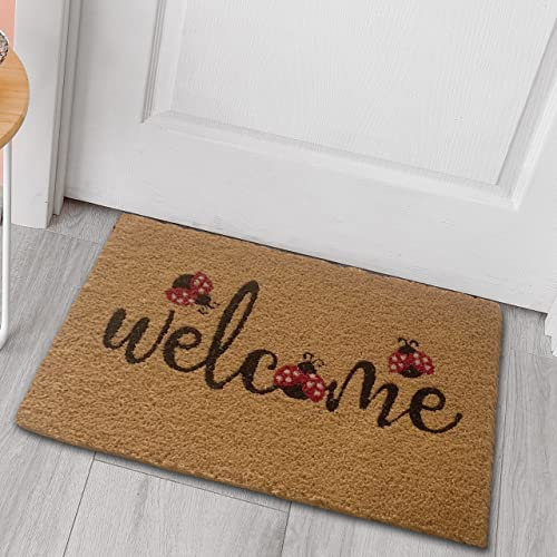 CARPETIA Langlebige Kokos Schmutzfangmatte nachhaltig „Welcome Marienkäfer“ schwarz rot, 45 x 75 cm