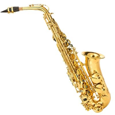 saxophon Es-Altsaxophon/Blasinstrument Als Allround-Verstärkung Für Das Einsteiger-Saxophon