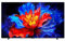 98P8K 98 4K QLED HDR Ultra HD Google TV