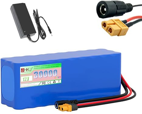 JHKJ Batterie au Lithium 24 V 26 Ah pour Bateau de pêche et 12 V 30 Ah pour gyropode/Pompe à Eau, avec Chargeur et Prise CC pour Kits Moteurs 350 W-600 W.,12v30ah