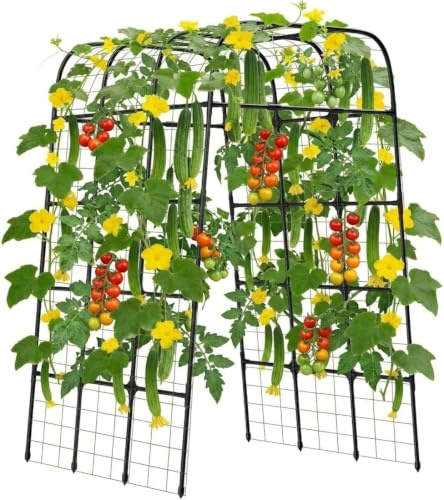 MYMULIKE Garden Trellis Arch, 210cm PP-Coated Stainless Steel Metal Extra Tall Cucumber Trellis Arch Garden Arch Trellis for Climbing Plants Outdoor Vegetable Trellis with Trellis Netting