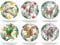 H&H Exotic - Set 6 Piatti Piani in New Bone China, Decori Assortiti in Rilievo, 26cm