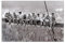 Landschaften - Poster Obreros, 91 x 61.5 x 0.1 cm