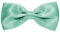 MASADA Herren Fliege Mint glänzend und stufenlos verstellbar, handgefertigt mit Hakenverschluss - 12 x 6 cm 100% Polyester