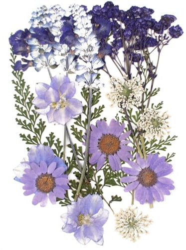 18 Stück Natürliche Getrocknete Blumen Trockenblumen zum Basteln Deko Gepresste Gemischte Blätter Gänseblümchen für Kunst DIY Harz Scrapbooking Karten Zubehör Handgemachte Heimdekoration Hochzeit