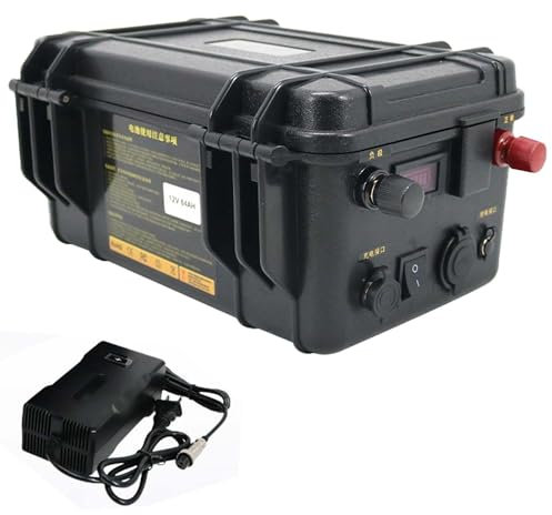 HSSYTZOUL 12V 24V Batterie Au Lithium Propulsion Batterie Au Lithium 60Ah-200Ah Built-in BMS pour Bateau Électrique Moteur Bateau De Pêche Hélice Marine Propulsion Batterie avec Chargeur,12v,200AH