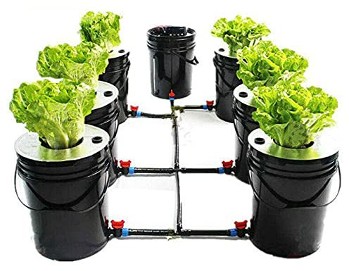 OMGGYER Hydroponic System Kit, 6 Eimer Hydroponisches Anzuchtsystem, Tiefwasserkultur Komplet Hydroponik System Grow Kit für Nutzpflanzen Gemüse Kräuter Salate Zierpflanzen