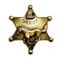 AW-Collection Anstecknadel Sheriff Stern Pferd Adler Western Country Ferne Westen