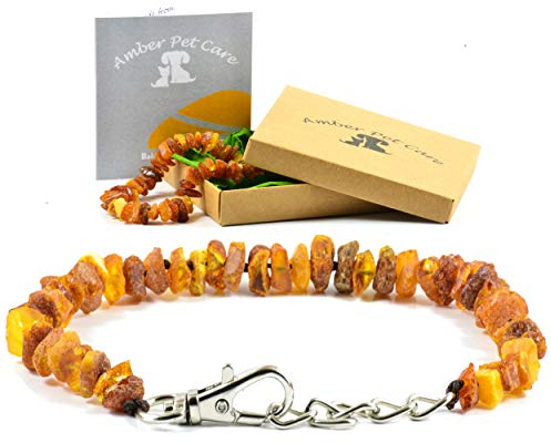 AmberPetCare Bernsteinkette für Hunde und Katzen/Bernsteinhalsband für Hund und Katze/Bernstein Gegen Zecken (35-40)