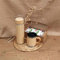 Regalo original para mujeres y hombres, un pack con tés, termo y taza con doble pared fabricado en acero inóxidable y bambú, ideal para regalos de cumpleaños, dia de la madre o dia del padre