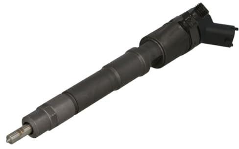 BOSCH 0986435165 Einspritzdüse