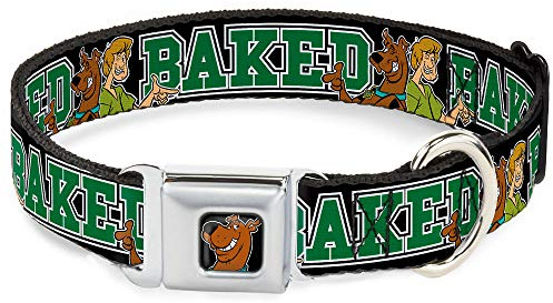 Buckle-Down Seatbelt Buckle Dog Collar - Scooby Doo & Shaggy Pose/BAKED Black/Green - 1 Wide - Fits 15-26 Neck - Large