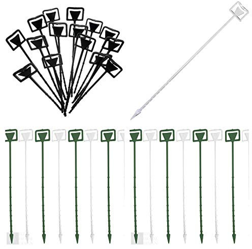 Cardette Card Holders Price Displays 23cm Rigid Plastic Green or Clear (Clear x 10)